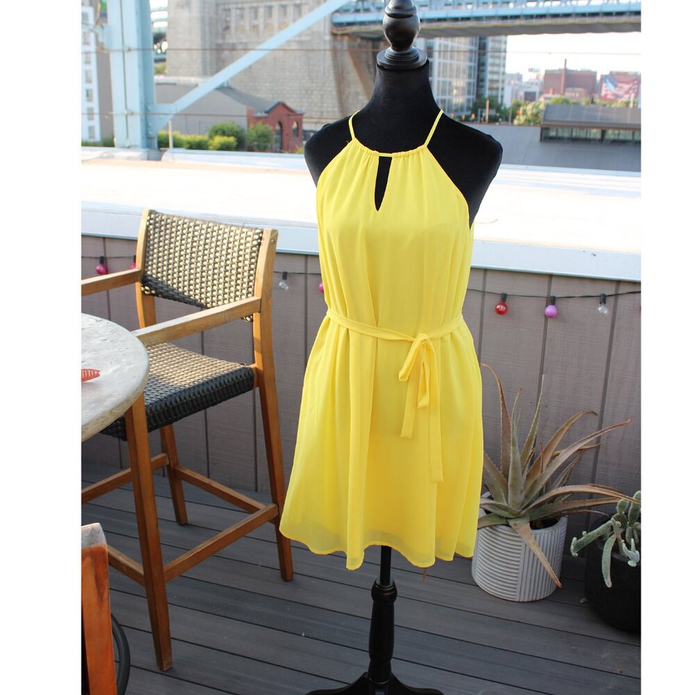 CATHERINE Catherine Malandrino Abbey Chiffon Slip Dress (Yellow) - Size S